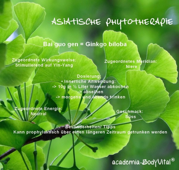 Asiatische Phytotherapie Basiskurs